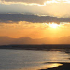 Meet your Posher, Robin